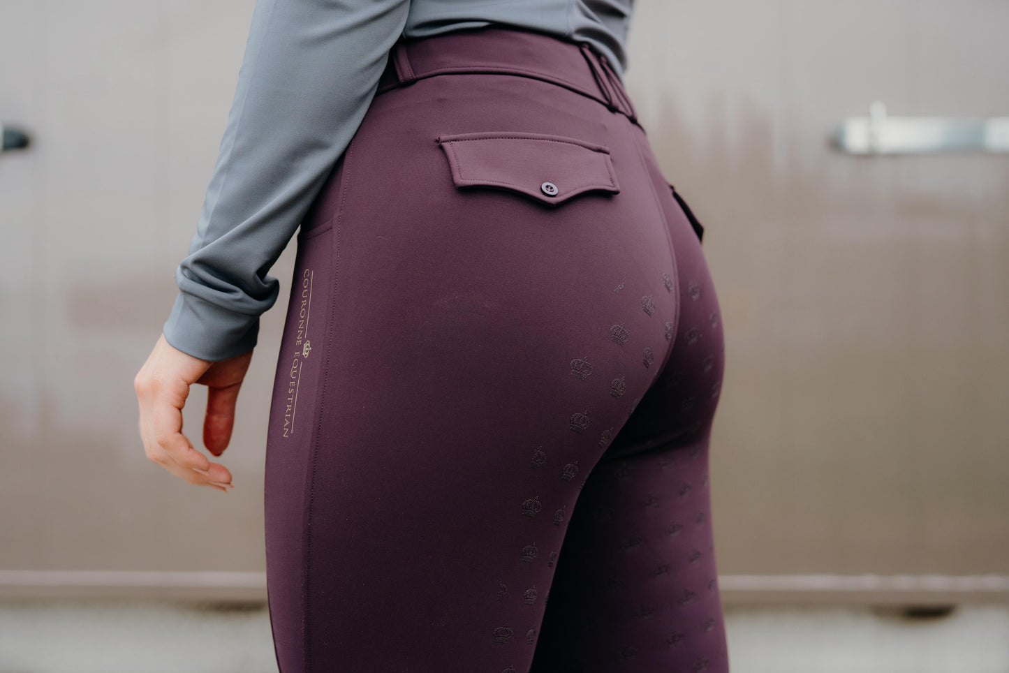 Clara Hybrids - Aubergine