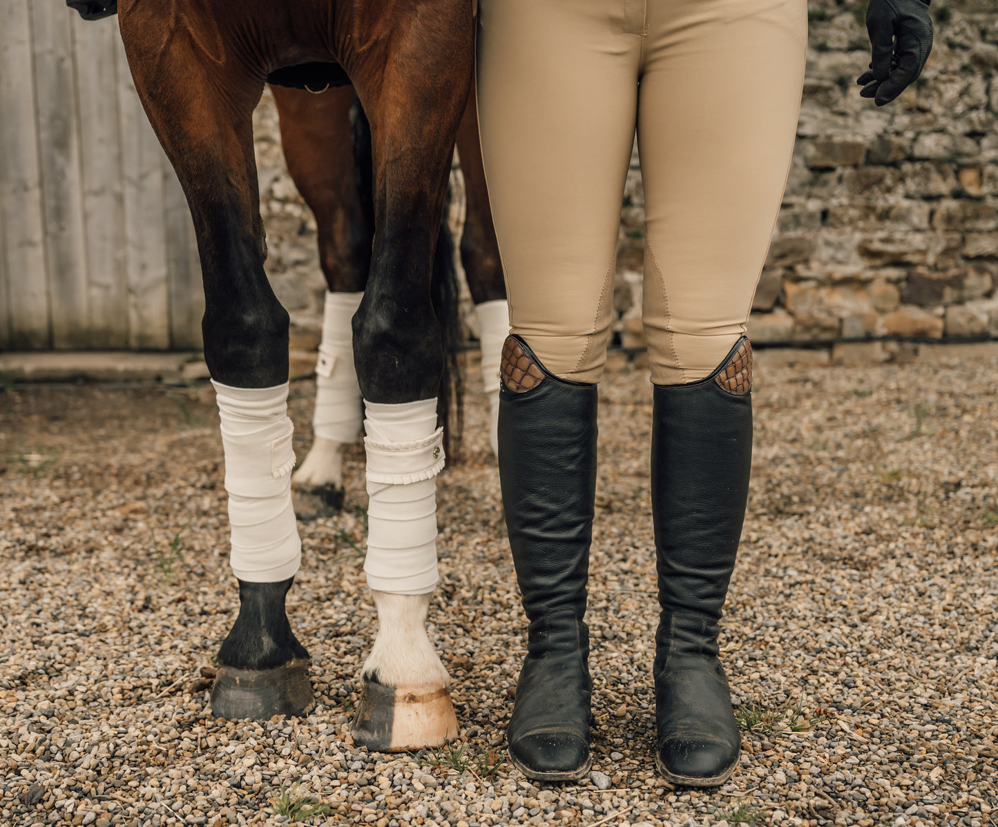 Sophia Show Breeches- Suede Knee Patch