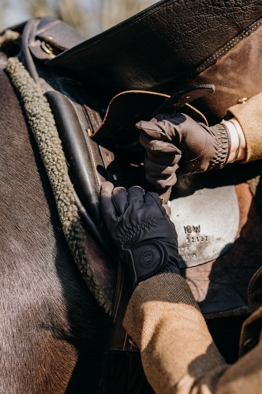 Signature Show Gloves