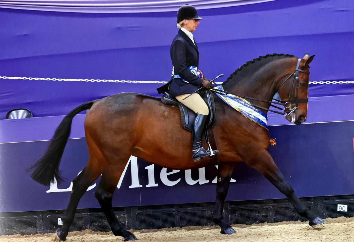 Sophia Show Breeches (suede knee patch) 'Corn'