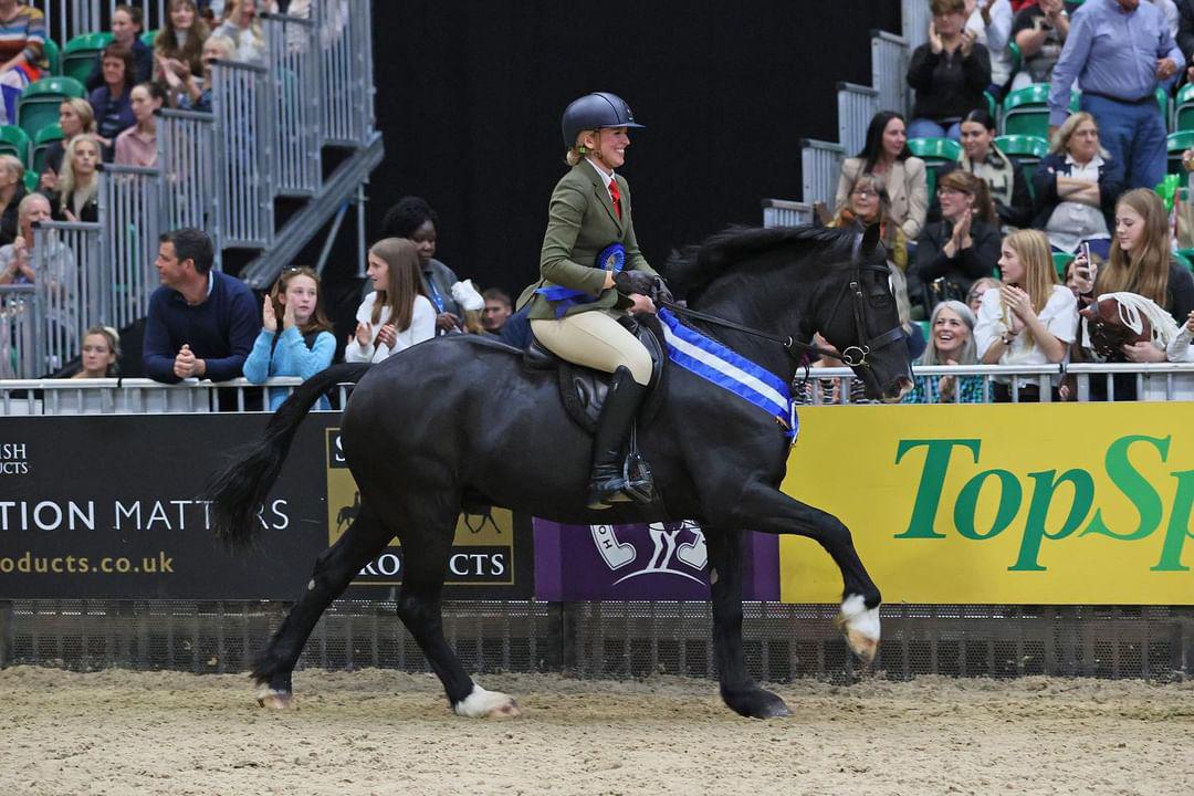 Sophia Show Breeches